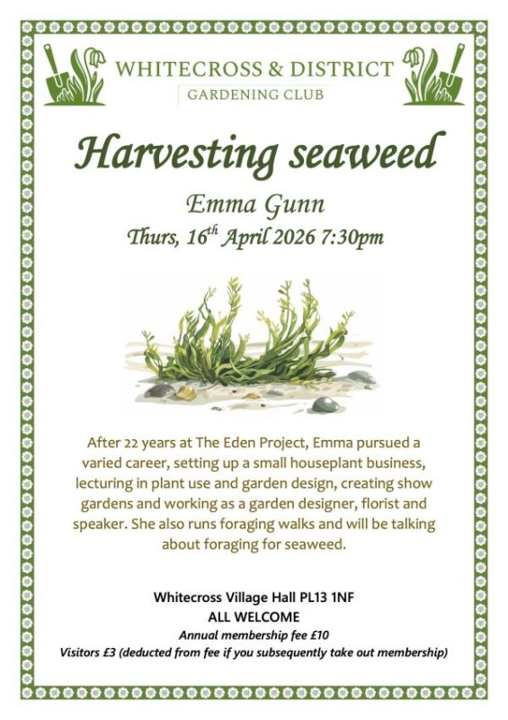 Harvesting Seaweed - a talk by Emma Gunn